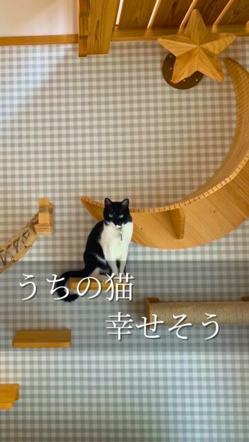 😺猫がくつろぐ家

ペットの猫ちゃんが喜ぶ仕掛けや工夫がたくさん詰まった家です。
猫も家族の一員、家族みんなが過ごしやすいお家になりました。

いいね！と思ったら
家づくりの時に参考にしてもらえるように、
保存をおすすめします。
ーーーーーーーーーーーーーーーーー
🏠未来へ、つなぐ家

有限会社　建徳
HP: https://www.ken-toku.co.jp/
ーーーーーーーーーーーーーーーーー