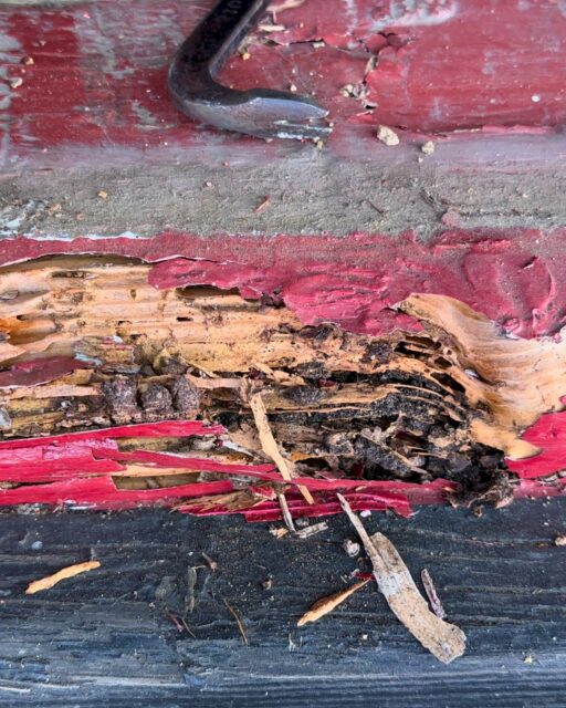 ＼シロアリ被害神社修繕／

地元神社の一部がシロアリ被害に遭っていたので、
修繕工事を行いました。
一般住宅とはまた違った組み方で
大工さんもいい経験になりました。

意外と多いシロアリ被害、
早めの点検や対処が大切です。

また、建徳ではこのように
一般住宅以外にも神社の修繕や社寺建築なども対応できます。

お困りごとがありましたら、
お気軽にご相談くださいね。

ーーーーーーーーーーーーーーーーー
🏠未来へ、つなぐ家

有限会社　建徳
電話：0278−23−7987
HP: https://www.ken-toku.co.jp/
ーーーーーーーーーーーーーーーーー